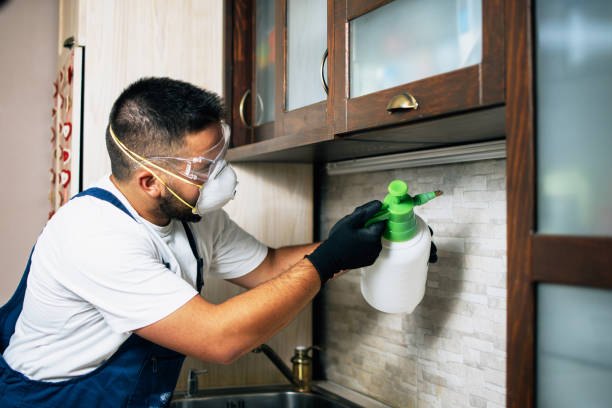 Best Termite Control Services  in Loveland Park, OH