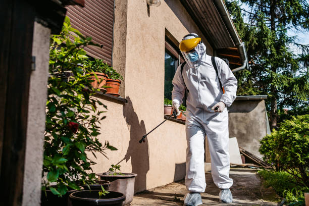 Best Emergency Pest Control  in Loveland Park, OH