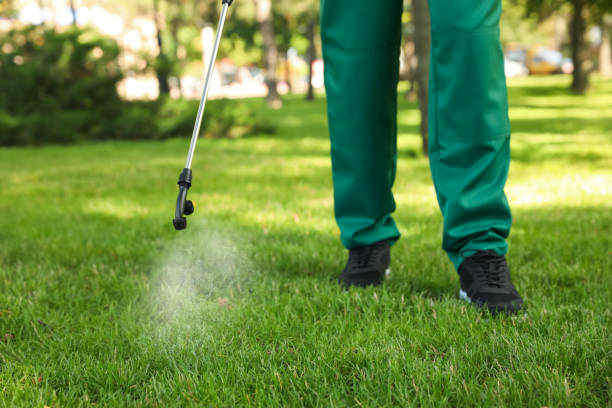 Professional Pest Control in Loveland Park, OH