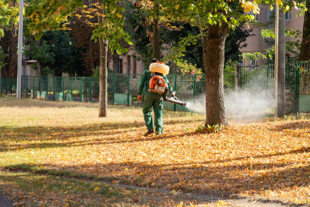 Best Pest Removal Services  in Loveland Park, OH