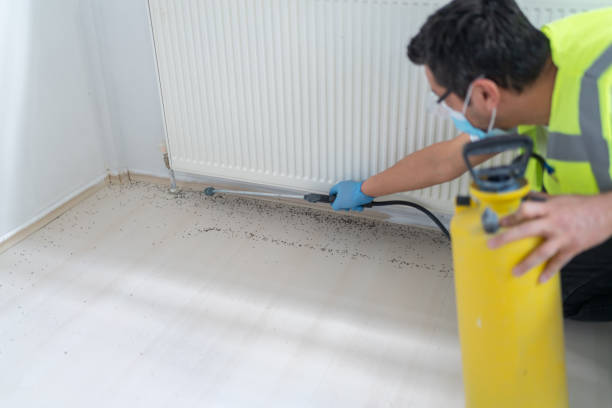 Best Termite Control Services  in Loveland Park, OH