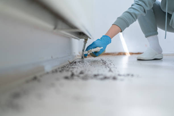 Best Cockroach Control Services  in Loveland Park, OH